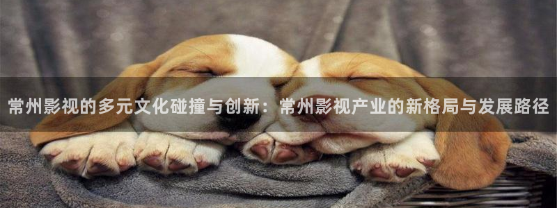 久久久国产亚洲欧美影院：常州影视的多元文化碰撞与创新：常州影视产业的新格局与发展路径