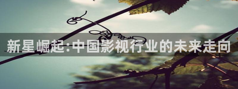欧美影院在线观看一区二区：新星崛起:中国影视行业的未来走向