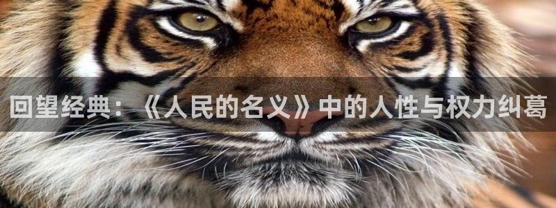优优色欧美影院免费：回望经典：《人民的名义》中的人性与权力纠葛