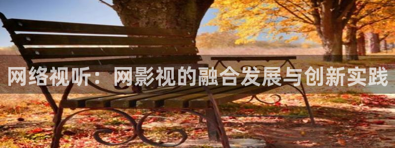 3571欧美影院：网络视听：网影视的融合发展与创新实践