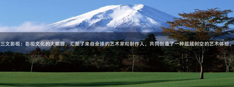 国产欧美影院：三文影视：影视文化的大观园，汇聚了来自全球的艺术家和制作人，共同创造了一种超越时空的艺术体验。