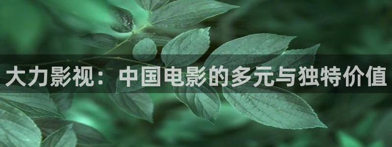 拉风色中色欧美影院：大力影视：中国电影的多元与独特价值