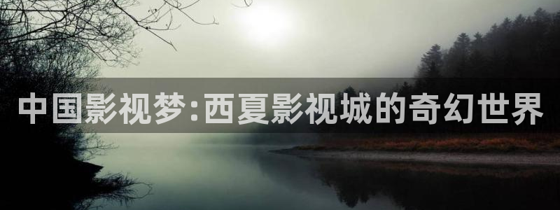 米奇欧美影院：中国影视梦:西夏影视城的奇幻世界