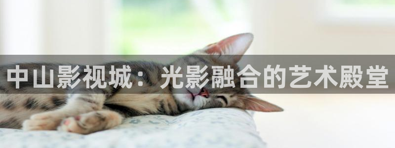 欧美影院必看电影推荐：中山影视城：光影融合的艺术殿堂