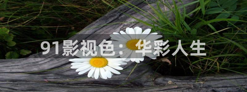 优优色欧美影院：91影视色：华彩人生